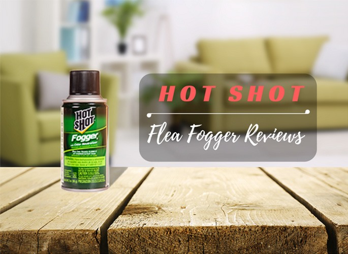 Hot Shot Flea Fogger Reviews For 2018